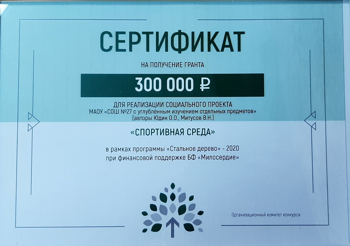 Сертификат на получение гранта для реализации проекта "Спортивная среда"